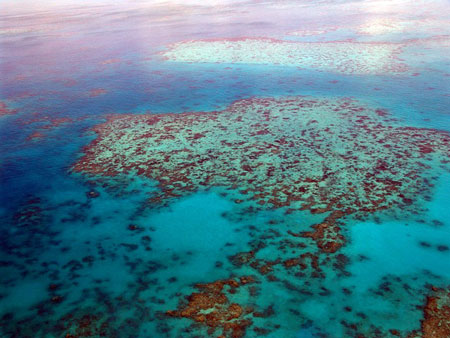 great-barrier-reef-450